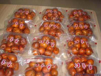 棗香村特產(chǎn)黃驊無核酥脆冬棗 批發(fā)零售指南與圖片展示